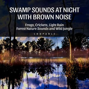 Swamp Sounds at Night with Brown Noise - Frogs, Crickets, Light Rain, Forest Nature Sounds and Wild Jungle, Loopable - Brown Noise Warriors