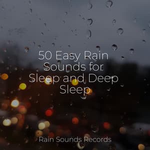 50 Easy Rain Sounds for Sleep and Deep Sleep - Sounds of Nature White Noise for Mindfulness, Meditation and Relaxation