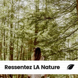 Ressentez LA Nature - Oasis de Musique Nature Relaxante