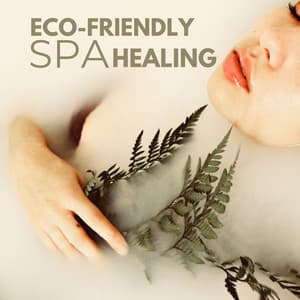 Eco-Friendly SPA - Healing - Bali Spa Project