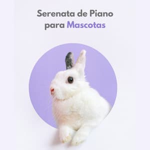 Serenata De Piano Para Mascotas - Animales de piano