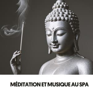Méditation et Musique de Spa: Âmes Harmoniques - Ruido Blanco Hart