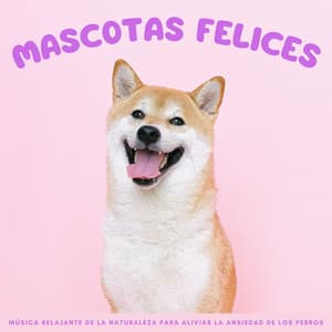 Mascotas Felices: Música Relajante De La Naturaleza Para Aliviar La Ansiedad De Los Perros - Grabaciones de la madre naturaleza