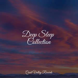Deep Sleep Collection - Rain Hard