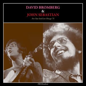 Free Your Soul - David Bromberg
