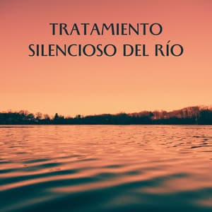 Tratamiento Silencioso Del Río - Camino del agua