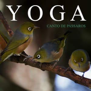 Yoga: Canto de Pássaros - Meditação Yoga