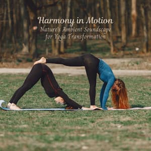 Harmony in Motion: Nature's Ambient Soundscape for Yoga Transformation - Nature Sounds With Music
