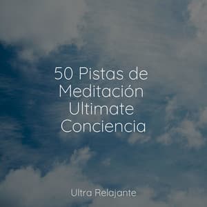 50 Pistas de Meditación Ultimate Conciencia - Canciones de Cuna para Bebés Acadèmico