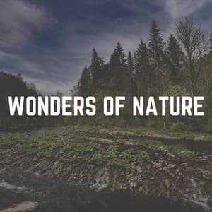 Wonders of Nature - Sounds Of The Earth
