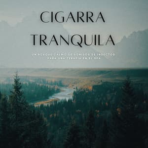 Cigarra Tranquila: Un Bosque Calmo De Sonidos De Insectos Para Una Terapia En El Spa - Bosque Tropical