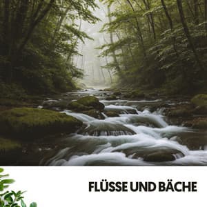 Flüsse und Bäche: Melodien aus den Wolken - Dog Relaxation