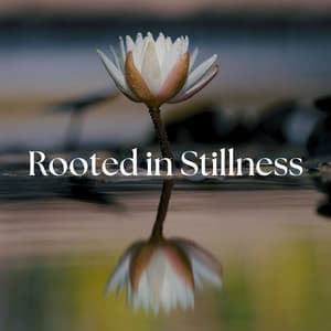 Rooted in Stillness: Blooming in Light, Meditate - Meditate Now.