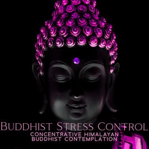 Buddhist Stress Control: Concentrative Himalayan Buddhist Contemplation, Jingzuo, Shamatha, MBSR - Deep Buddhist Meditation Music Set