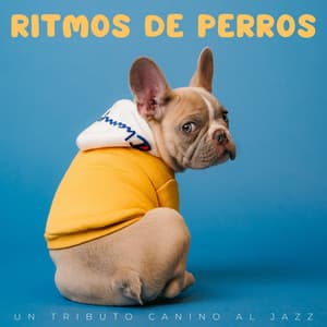 Ritmos De Perros: Un Tributo Canino Al Jazz - Cuarteto de guitarras de jazz de Harlem