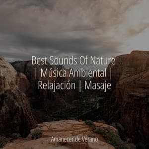 Best Sounds Of Nature | Música Ambiental | Relajación | Masaje - Meditación Maestro