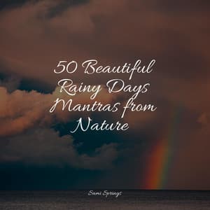 50 Beautiful Rainy Days Mantras from Nature - Binaural Beats Brain Waves Isochronic Tones Brain Wave Entrainment