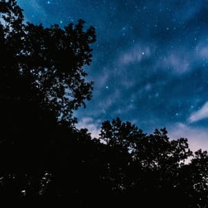 Cinematic Relaxing Music - Cinematic Relaxing Music