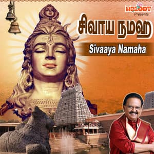 Sivaaya Namaha - Ramu