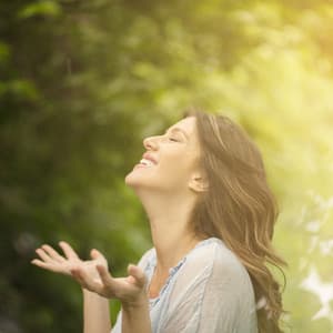 Serene Rainfall: ASMR Ambience for Ultimate Relaxation - The Rain Library