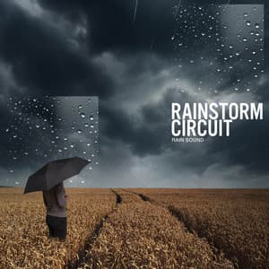 Rainstorm Circuit - Rain Sound