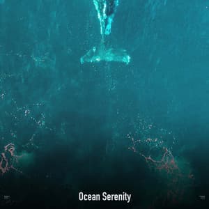 !!!!" Ocean Serenity "!!!! - Ocean Waves