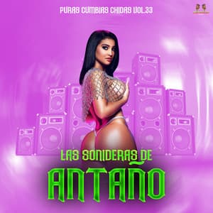 Puras Cumbias Chidas Vol. 33 - Las Cumbias De Antaño