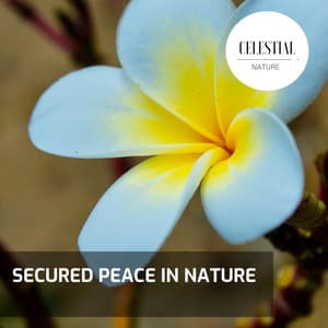 Secured Peace in Nature - Nature Radiance