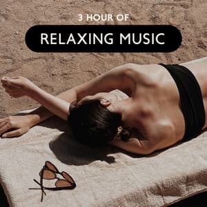 3 Hour Of Relaxing Music - Slipping Water