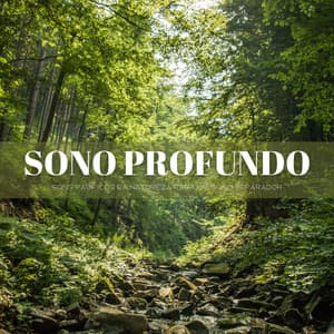 Sono Profundo: Sons Pacificos Da Natureza Para Um Sono Reparador - Dormir e Meditar