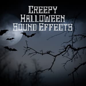 Creepy Halloween Sound Effects - Creepy Sound Effects