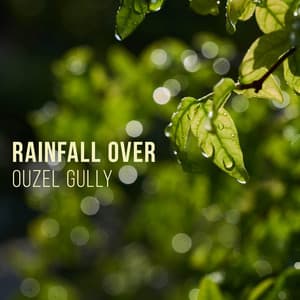 Rainfall Over Ouzel Gully - Rain Sounds For Sleep