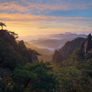 Celestial Nature: Harmonic Odes to Earth's Beauty - Nature Sounds of the Earth