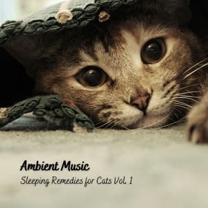 Ambient Music: Sleeping Remedies for Cats Vol. 1 - Music For Cats