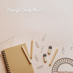 Peaceful Study Music: Brilliant Rhythm of Rain - Bosque Tropical