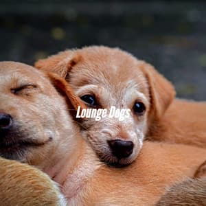 Lounge Dogs - Puppy Music