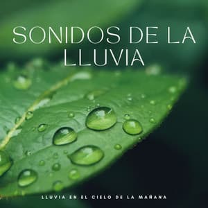 Sonidos De La Lluvia: Lluvia En El Cielo De La Mañana - Relajación Piano