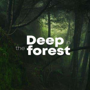 Deep In The Forest - Jungle Sounds