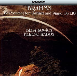 Brahms: Sonatas for Clarinet and Piano Nos. 1 and 2 - Johannes Brahms