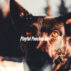 Playful Pooches Vibe - Dog Separation Anxiety Music