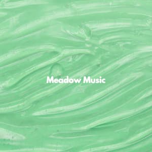 Meadow Music - Coffee Shop Playlist