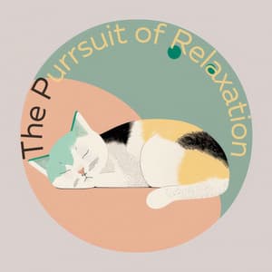 The Purrsuit of Relaxation - Music For Cats