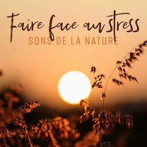 Faire face au stress: Sons de la nature - Oasis Des Bruits Naturels