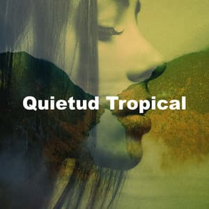 Quietud Tropical - Sonidos De La Selva