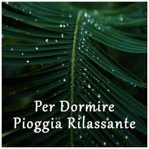 Pioggia Rilassante per Dormire - Per Dormire di Beneluxa