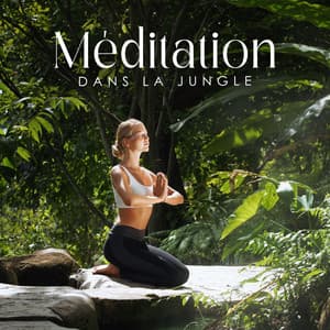 Méditation dans la jungle: Sons exotiques de la nature pour une pratique calme de la méditation - Spa Music Paradise