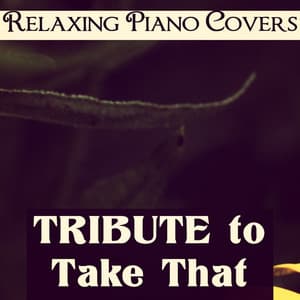 Tribute to Take That - Relaxing Piano Covers
