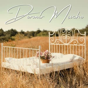 Dormir Mucho: Relajación y Descanso con Sonidos Suaves - Relajación Maestro