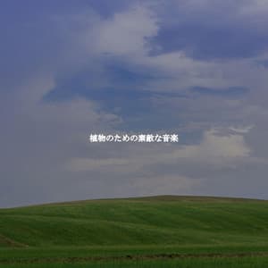 植物のための素敵な音楽 - Classic Bosas Nova Radio