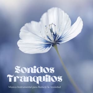 Sonidos Tranquilos: Música Instrumental para Reducir la Ansiedad - Calmar la Ansiedad